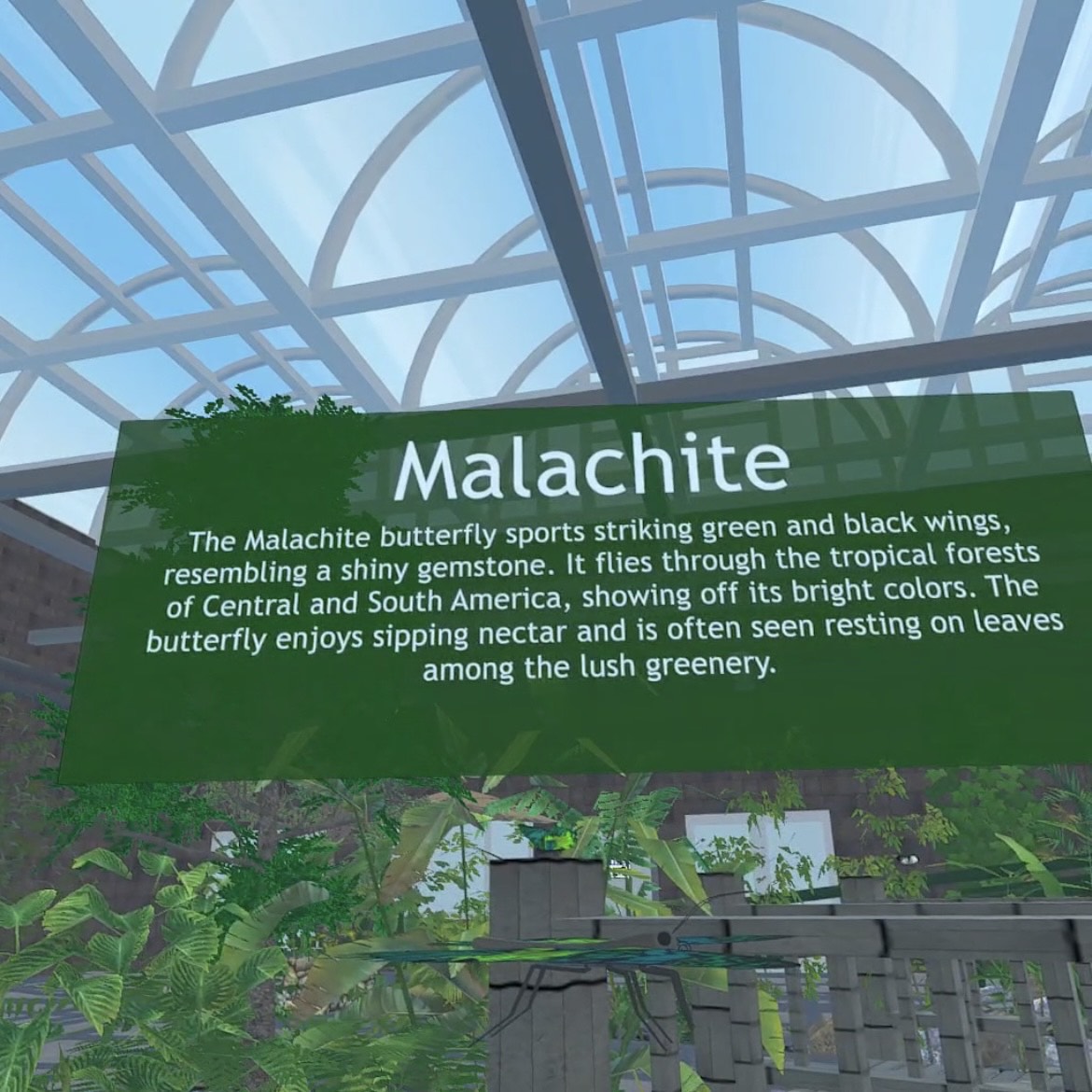 Educational Overlays