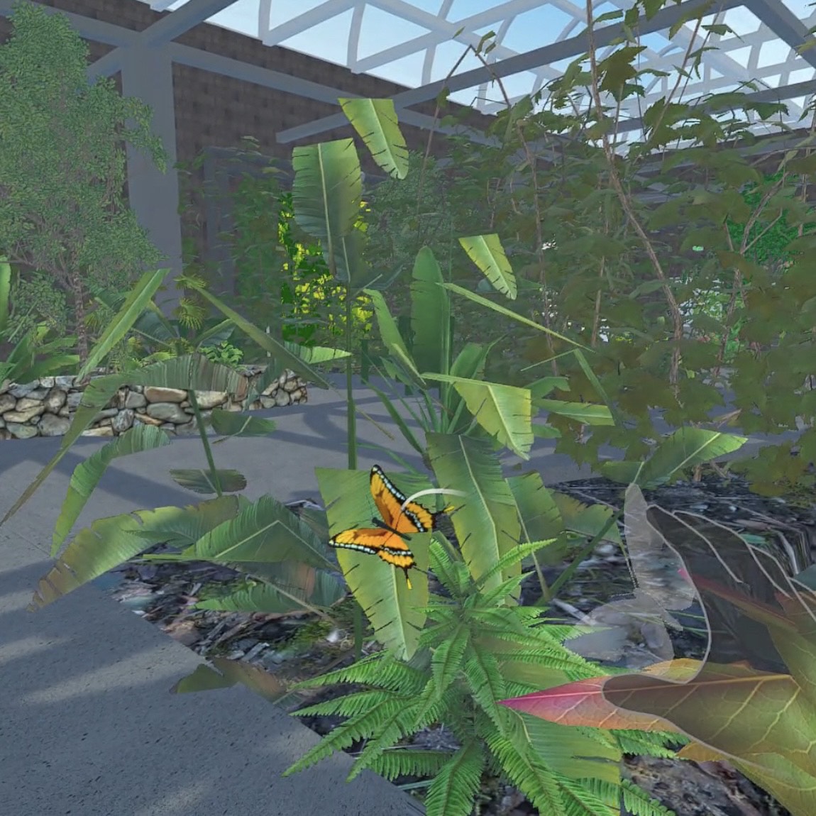 Interactive Wildlife