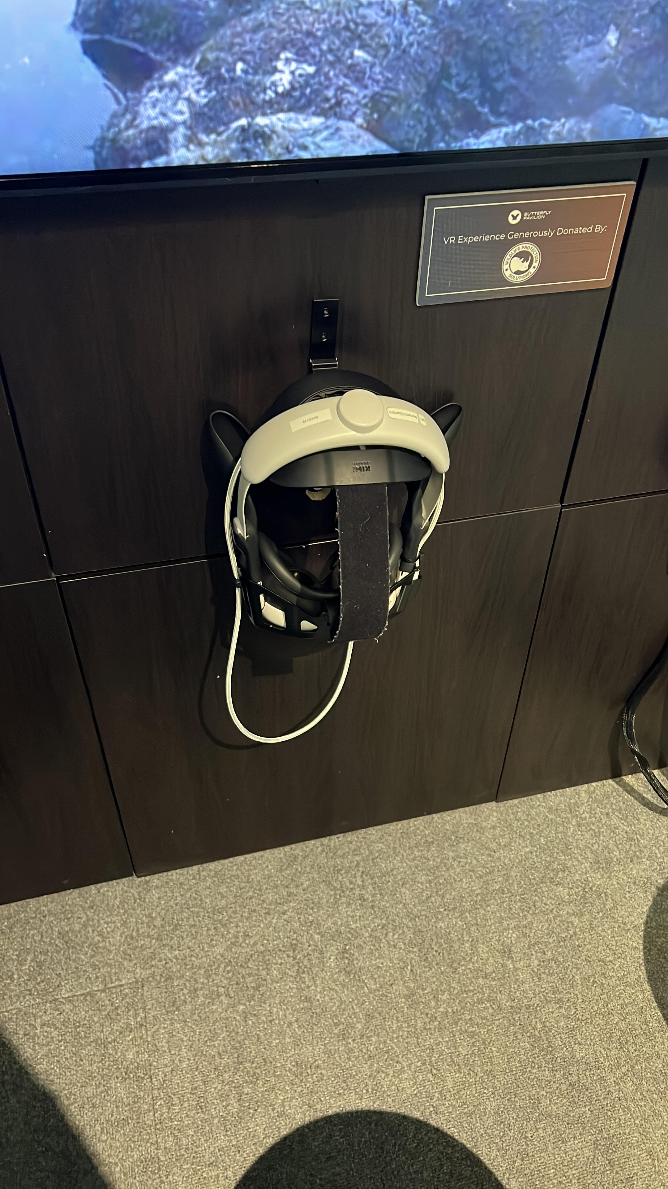 Image of WildXR Application VR Headset Setup