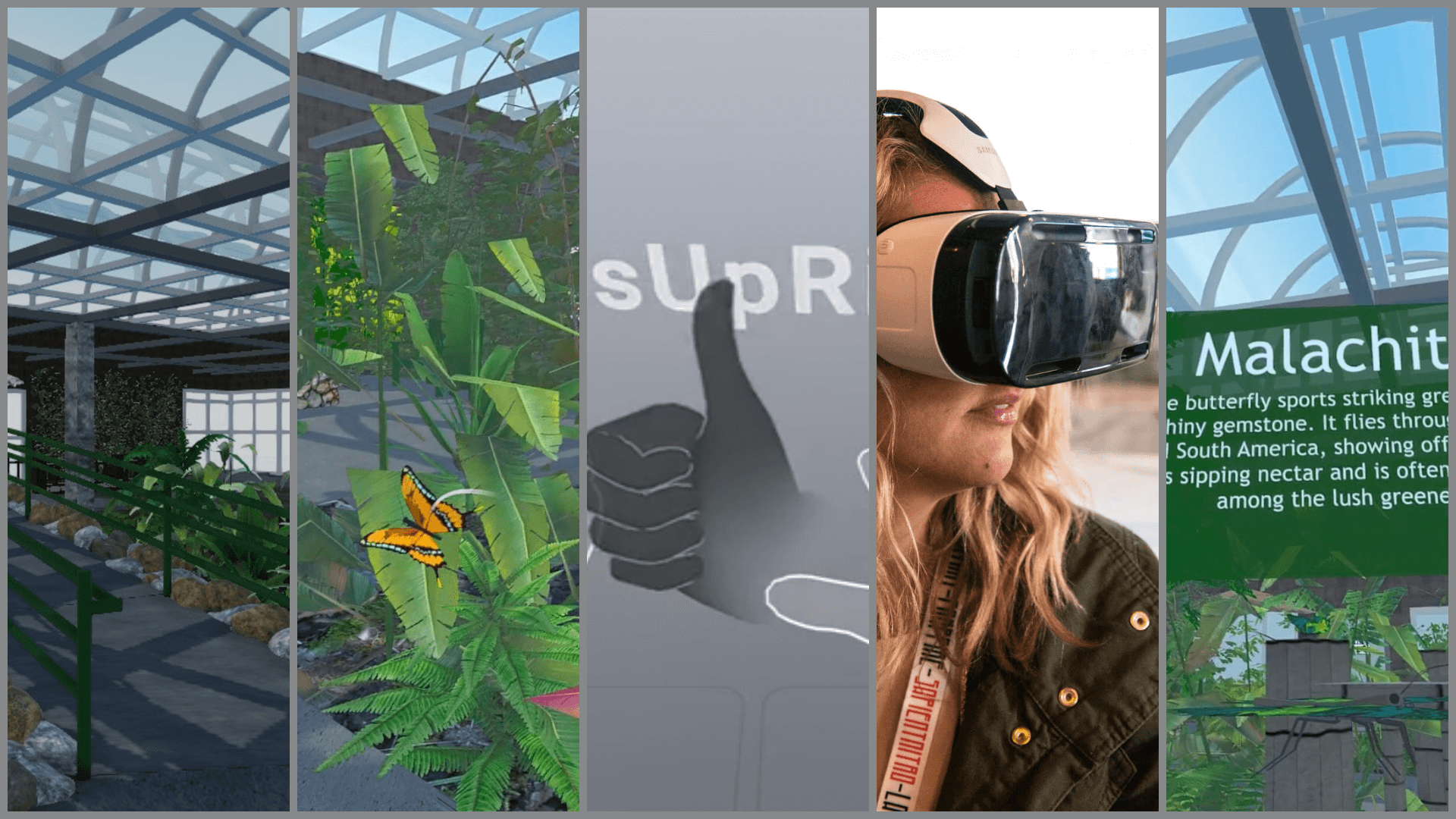 Butterfly Safari VR